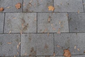 Poznaj kilka kluczowych wskazówek, jak zimą pielęgnować i chronić nawierzchnie betonowe przed zniekształceniem czy utratą odpowiedniego koloru (fot. SEMMELROCK)