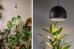 Współpraca marek FLOLUCE i Nowodvorski Lighting pozwoliła stworzyć nową przestrzeń dla rozwoju roślin nawet w ciemnych strefach domu.