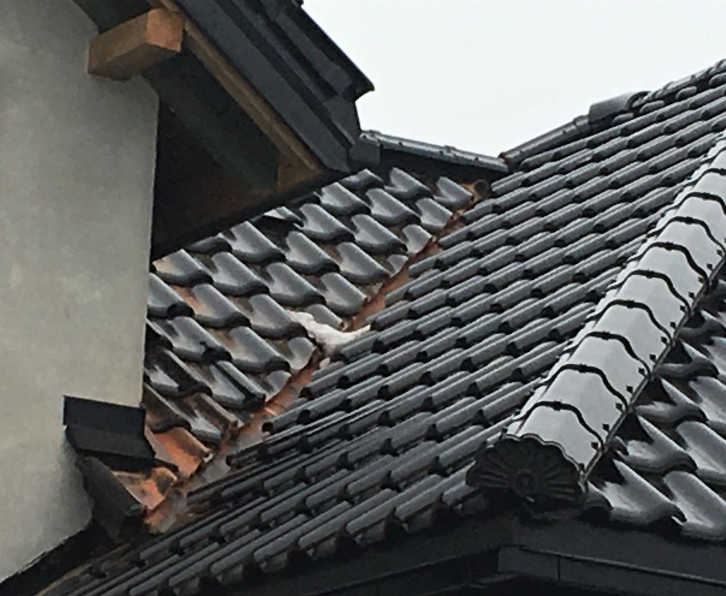Nie dość, że na ciemnym pokryciu odcina się linia przekroju, to jeszcze przez jakiś czas szpecić je może czerwony pył, jeśli dekarze cięli elementy na dachu (fot. KMR)